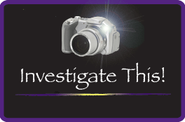 Investigate This!